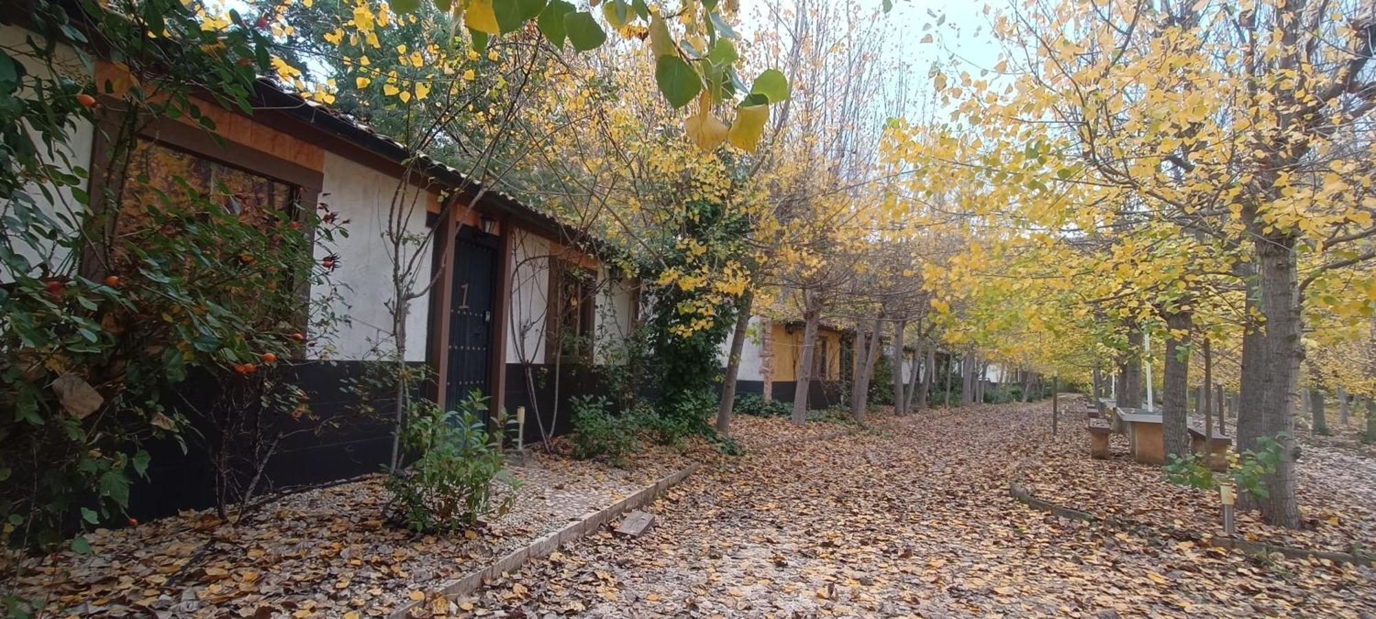 Casas Rurales Vado Del Rio Tus Cortijo Prados Exterior foto